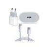 Chargeur rapide USB-C 20 W + câble de charge Type C vers Lightning